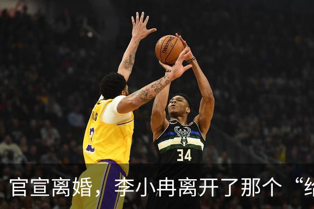 官宣离婚，李小冉离开了那个“给你五个亿让你作”的男人